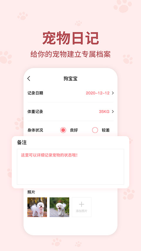 截图5